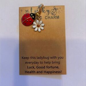 Keep this ladybug charm with you everyday for luck or give it as a‎ gift!